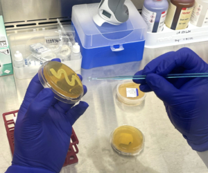 Muestreador de aire microbiano equipos de laboratorio microbiología análisis